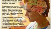 Консультативно-диагностическая система восстановительной медицины